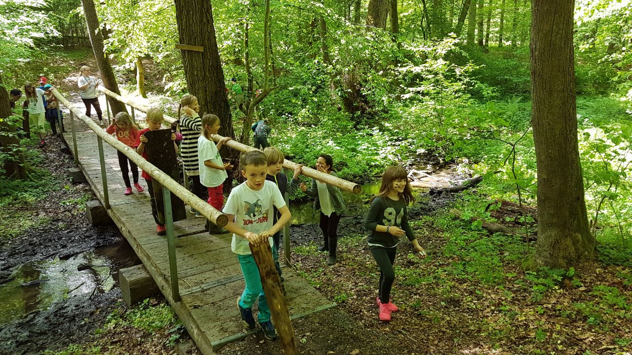 Wald-Actiontag des Förderverein im Mai 2017