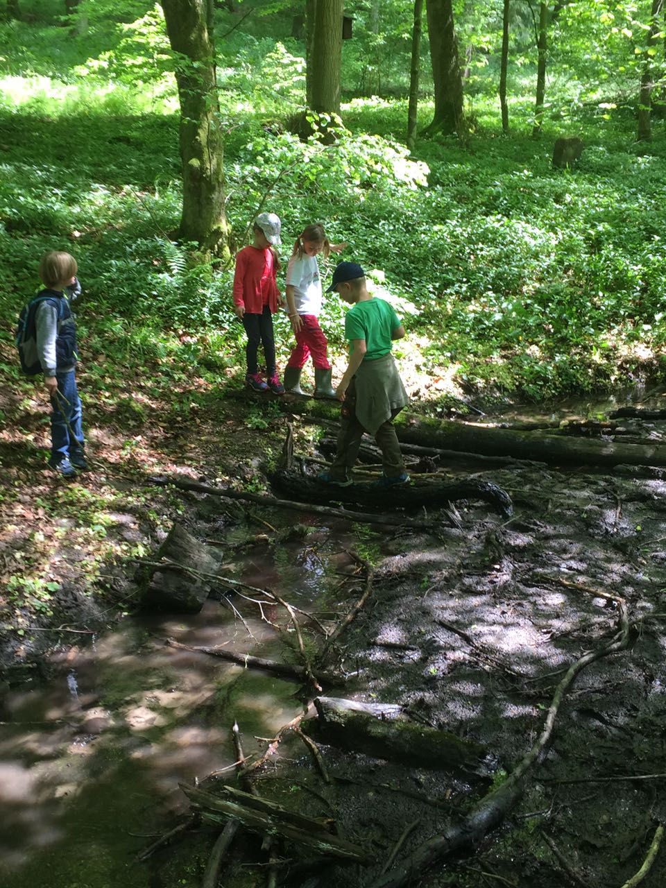 Wald-Actiontag des Förderverein im Mai 2017